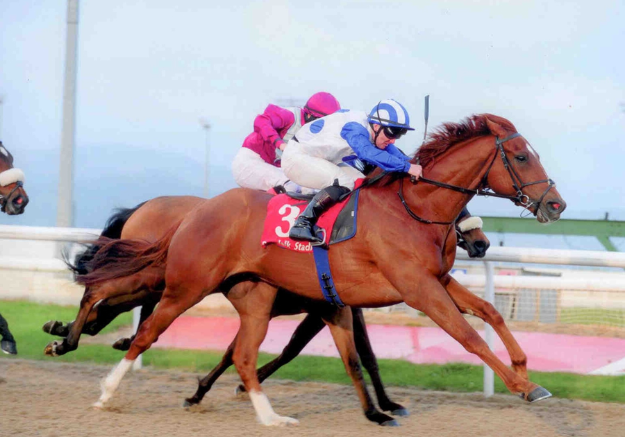 Trinity Force Dundalk Fri 25th April 2014